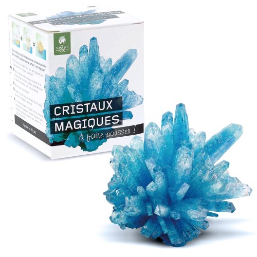 Cristaux a faire pousser bleu