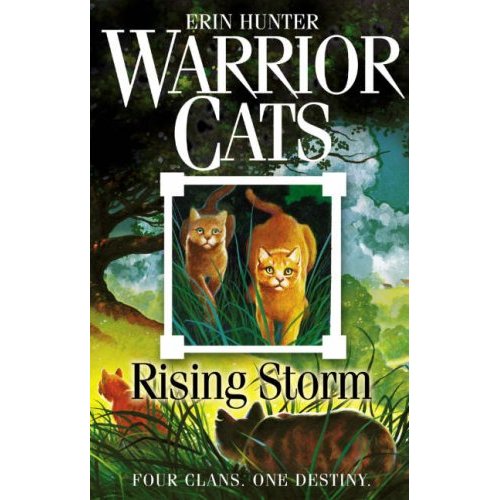 Rising storm