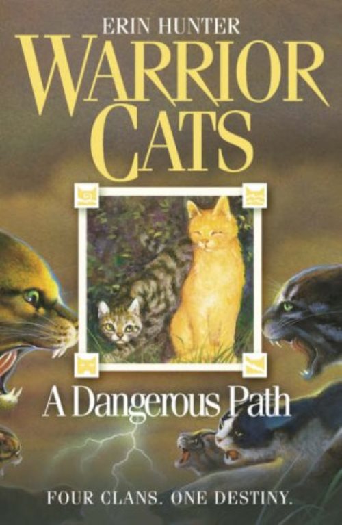 A dangerous path 05