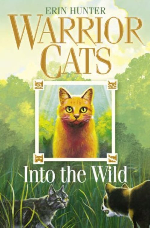 Warriors cat - into the wild