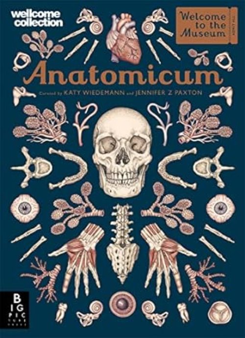 Anatomicum Anatomicum