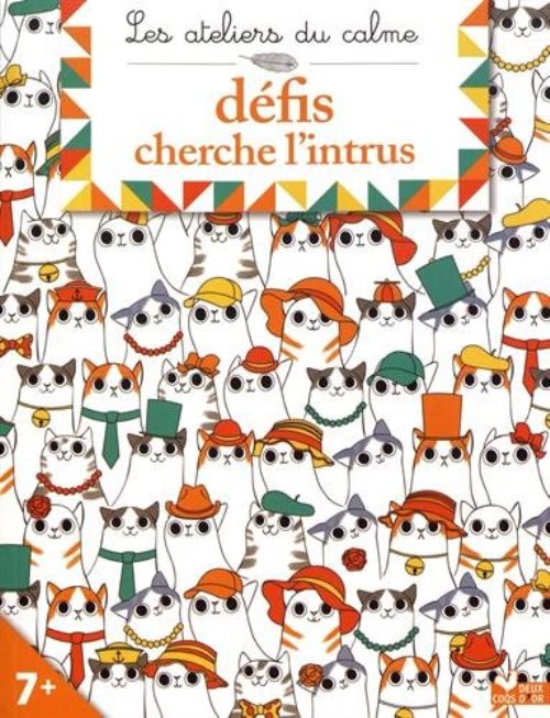 Defis cherche l'intrus