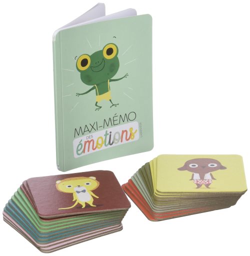 Maxi-memo des emotions