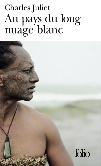Au pays du long nuage blanc - journal, wellington aout 2003 - janvier 2004