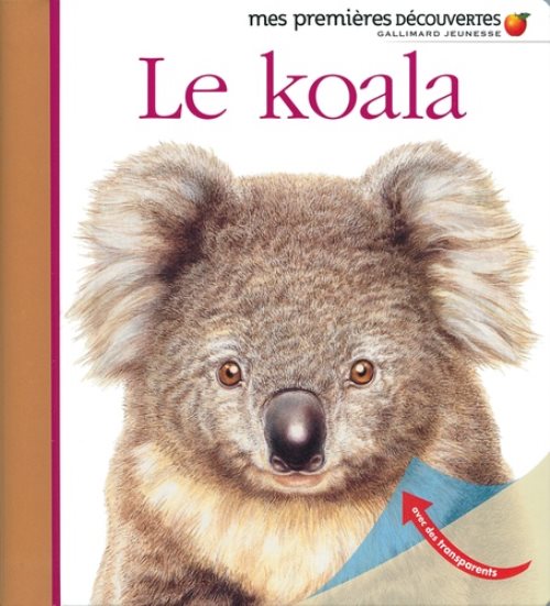 Le koala