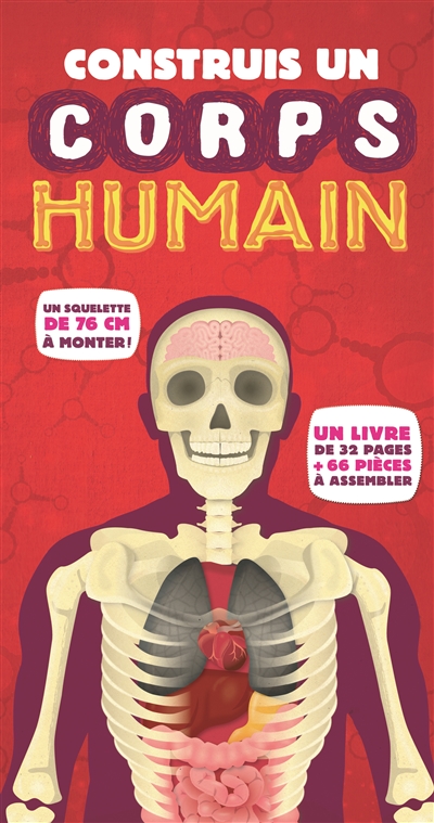 Construis un corps humain