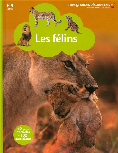 Les felins
