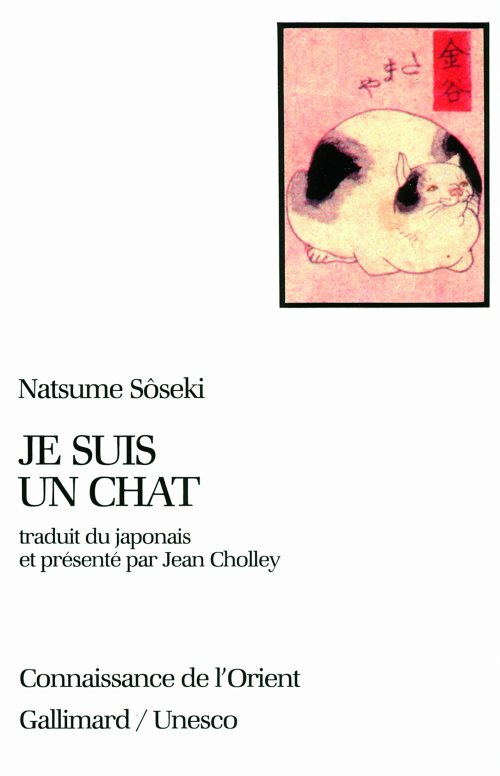 Je suis un chat
