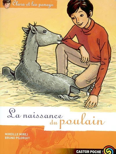 Clara et les poneys t.3 la naissance du poulain