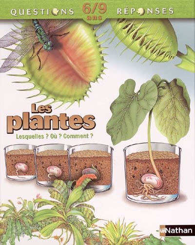 Plantes
