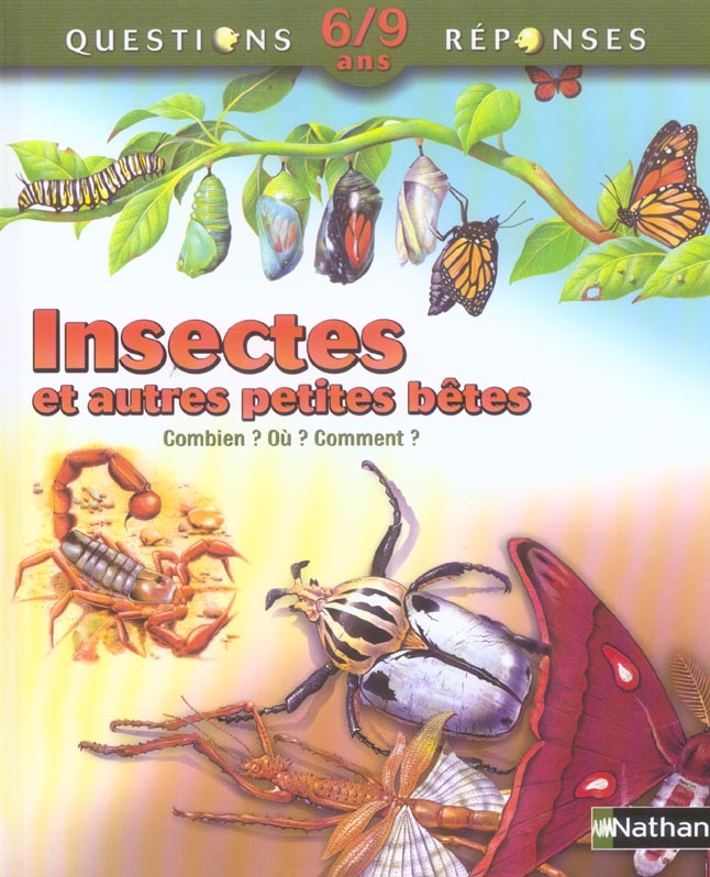 Insectes et autres ptes betes