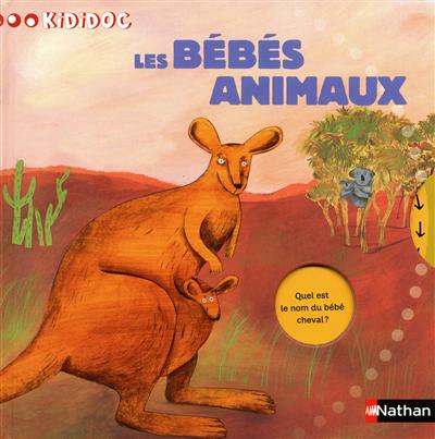 N29 - les bebes animaux