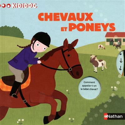 N39 - les chevaux et les poneys