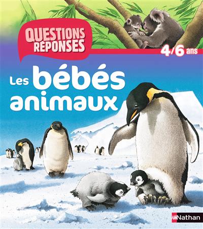 N09 - les bebes animaux - questions/reponses 4/6 ans