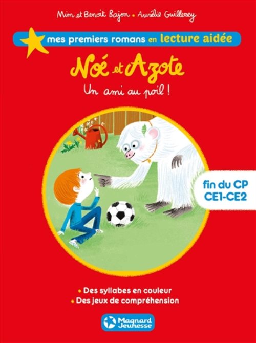 Noe et azote 1 - un ami au poil ! lecture aidee