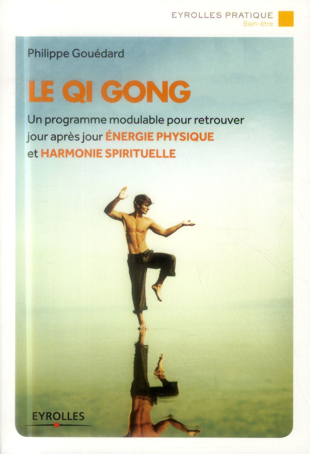 Le qi gong - un programmemodulable pour retrouver jour apres jour energie physique et harmonie spiri