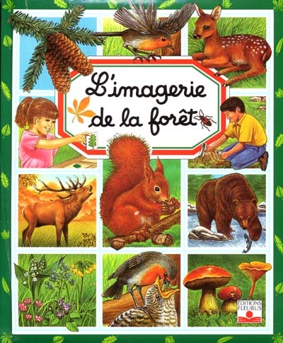 L'imagerie de la foret