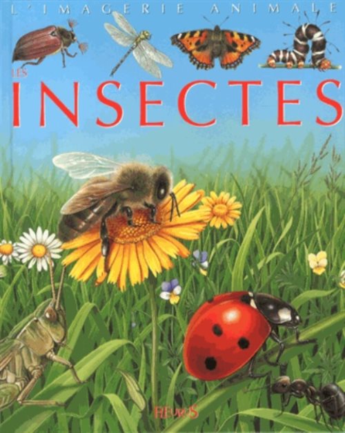 Les insectes