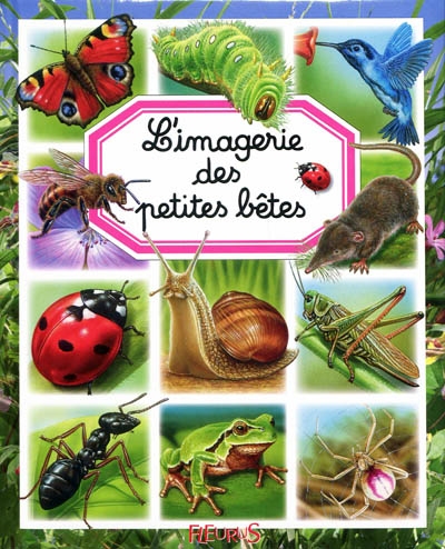 L'imagerie des petites betes