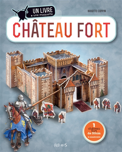 Chateau fort