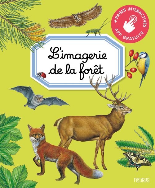 L'imagerie de la foret