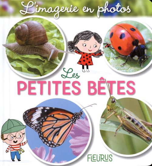 Les petites betes