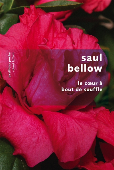 Le coeur a bout de souffle - pp