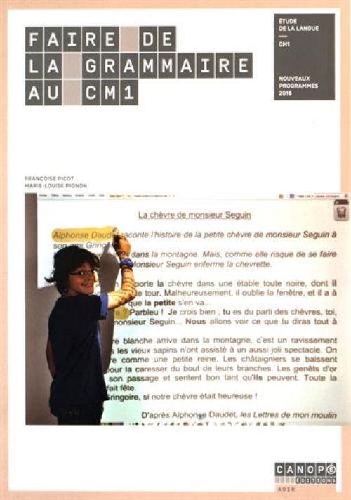 Faire de la grammaire au cm1 - etude de la langue, cm1