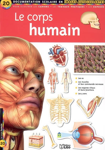 Le corps humain