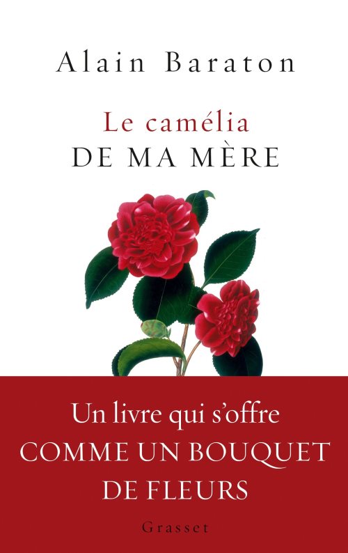 Le camelia de ma mere