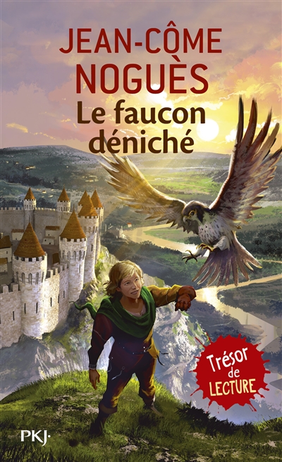 Le faucon deniche - vol01