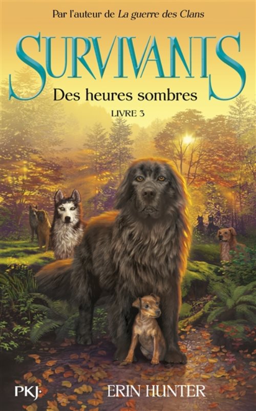 Survivants - tome 3 des heures sombres - vol03