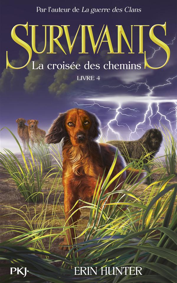 Survivants - tome 4 la croisee des chemins - vol04