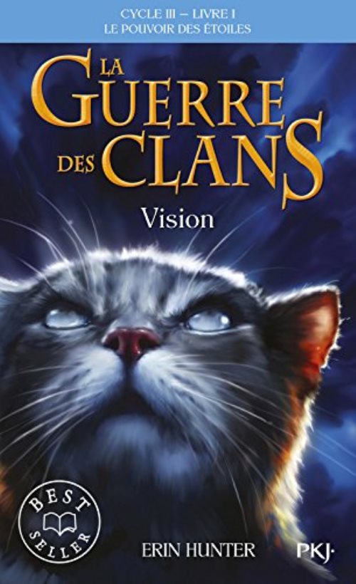 La guerre des clans cycle iii le pouvoir des etoiles - tome 1 vision - vol01