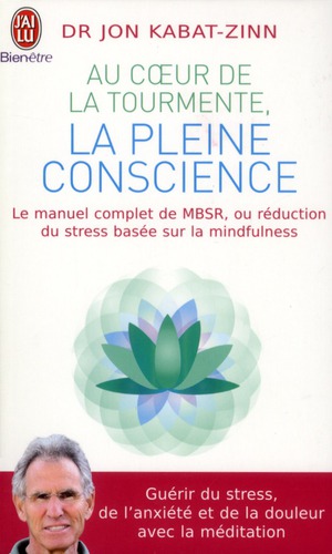Au coeur de la tourmente, la pleine conscience - mbsr, la reduction du stress basee sur la mindfulne