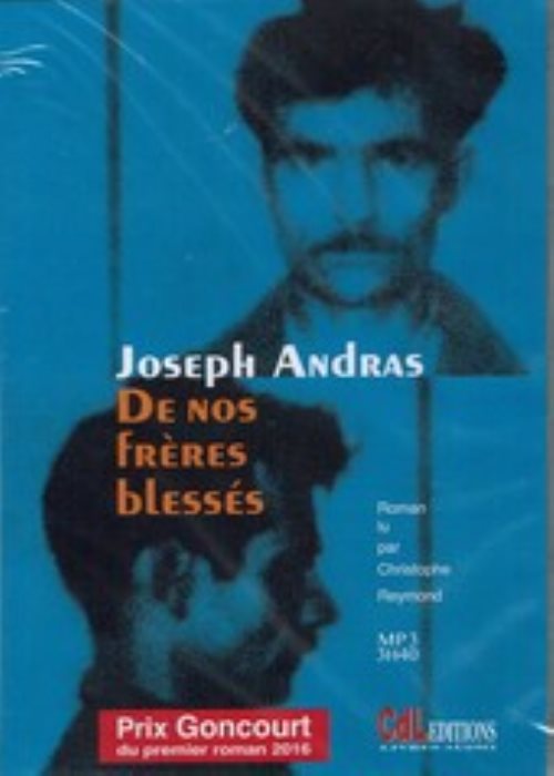 De nos freres blesses livre audio