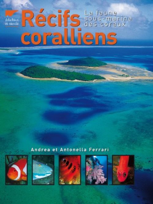 Recifs coralliens - la faune sous-marine des coraux