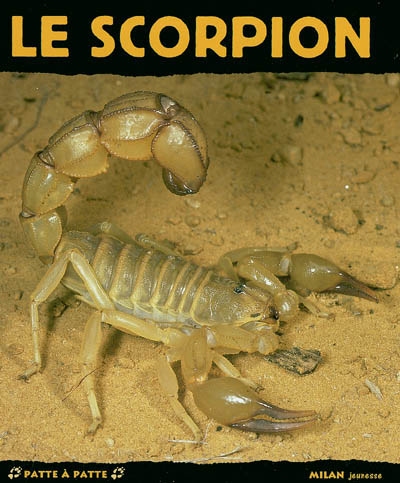 Scorpion
