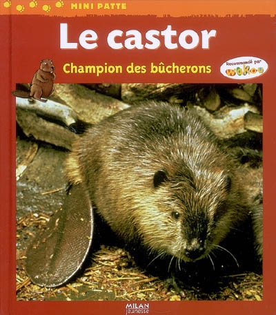 Castor (le)