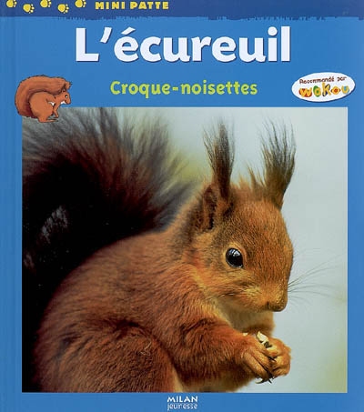 Ecureuil - croque-noisettes