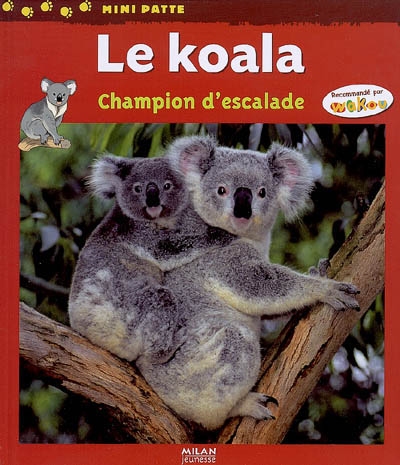 Koala, champion descalade