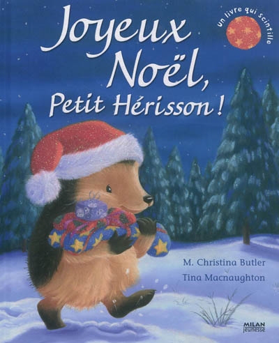 Joyeux noel, petit herisson !