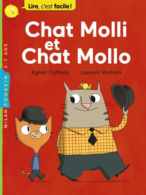 Chat molli et chat mollo