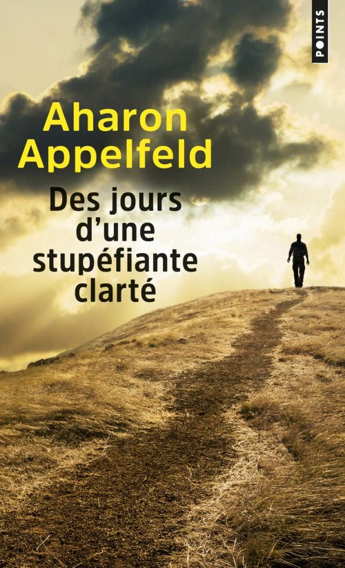 Des jours d'une stupefiante clarte Des jours d'une stupefiante clarte