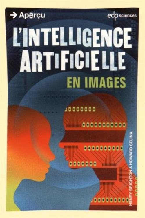 Intelligence artificielle en images (l')