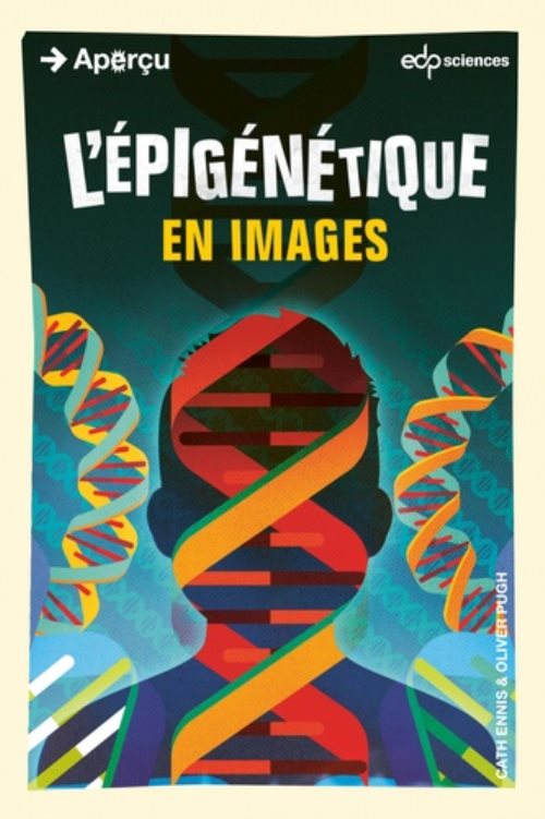 L'epigenetique en images