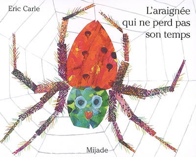 Araignee qui ne perd pas son temps (l)