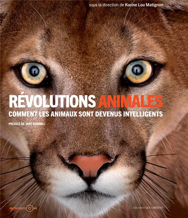 Révolutions animales : Comment les animaux sont devenus intelligents