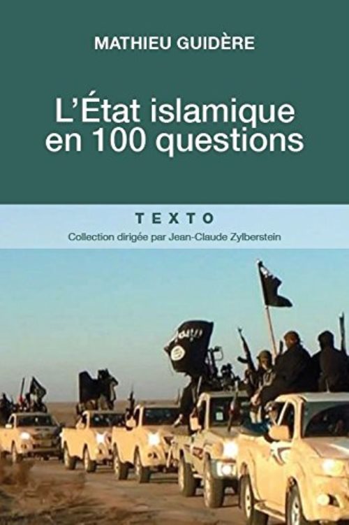 L'etat islamique en 100 questions